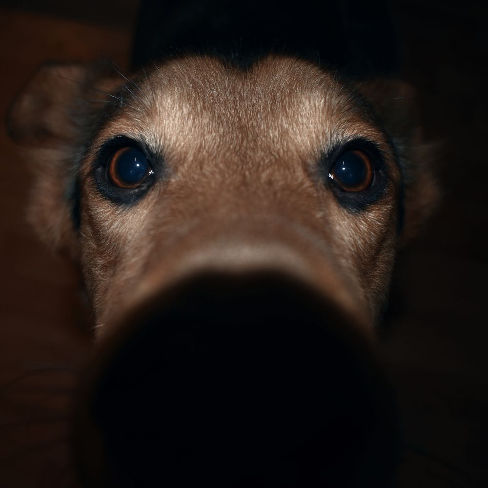 Photograph by Артем Алексеев