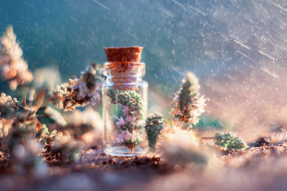 Photograph by Екатерина Кузнецова