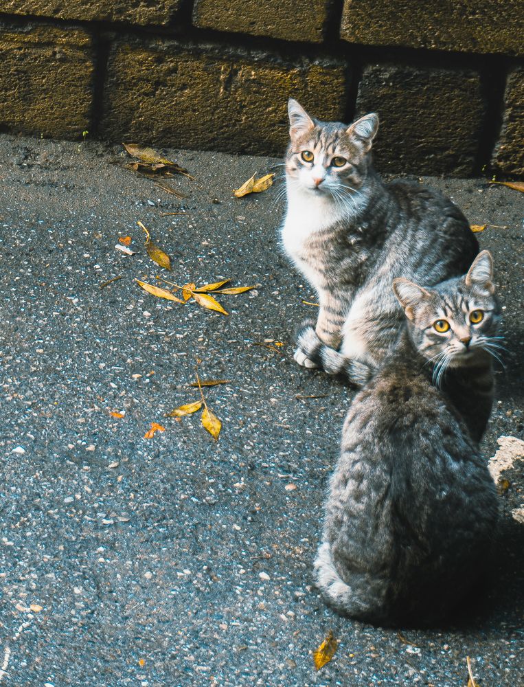 Photograph by Ayxan Mamedov