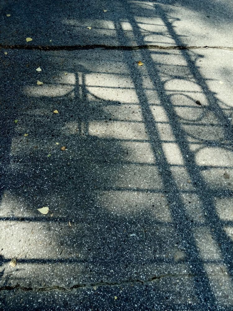 Photograph by НИНА АВЕРЬЯНОВА