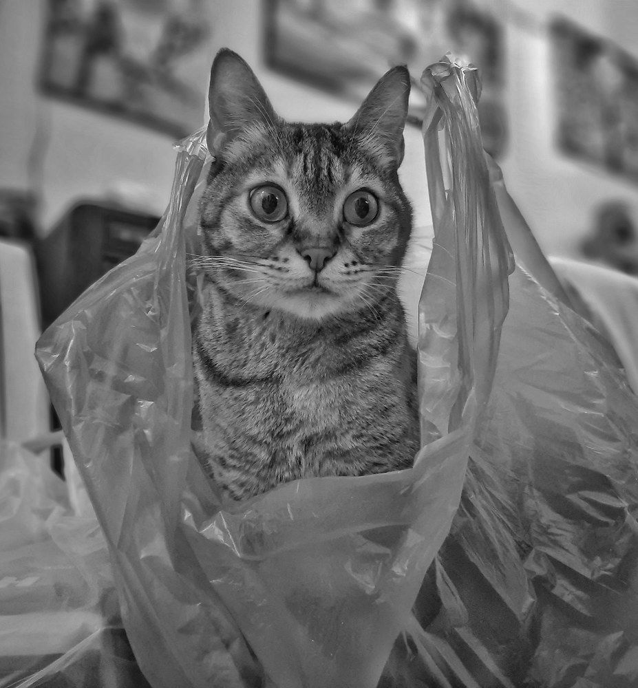 Photograph by Marina Rekunov