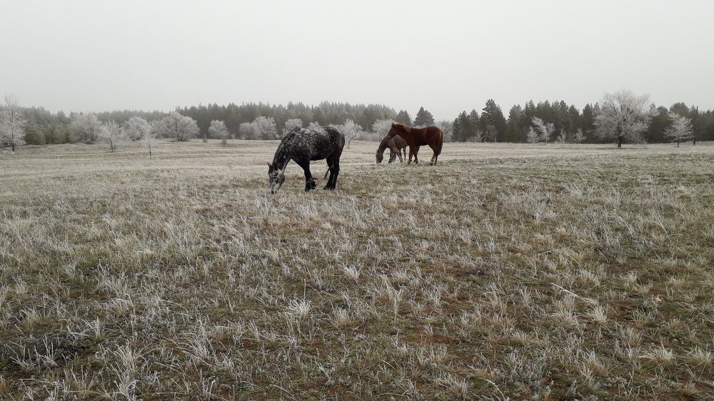Photo #5962978