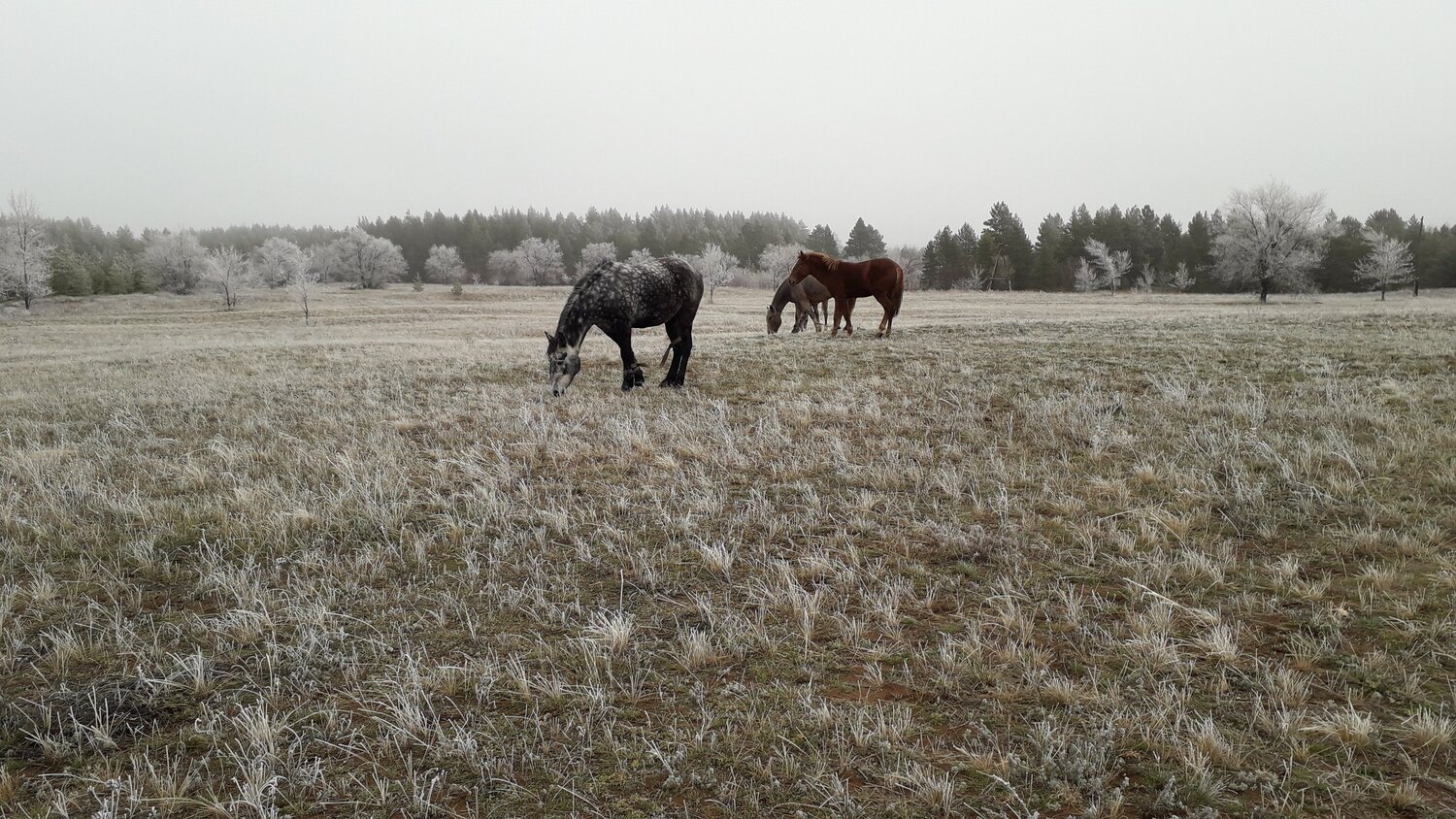 Photo #5962978
