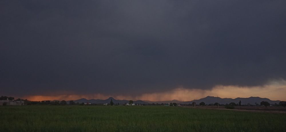 Photograph by Gerardo Jimenez