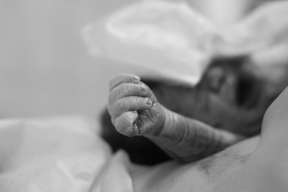 Photograph by Ерохина Светлана Юрьевна