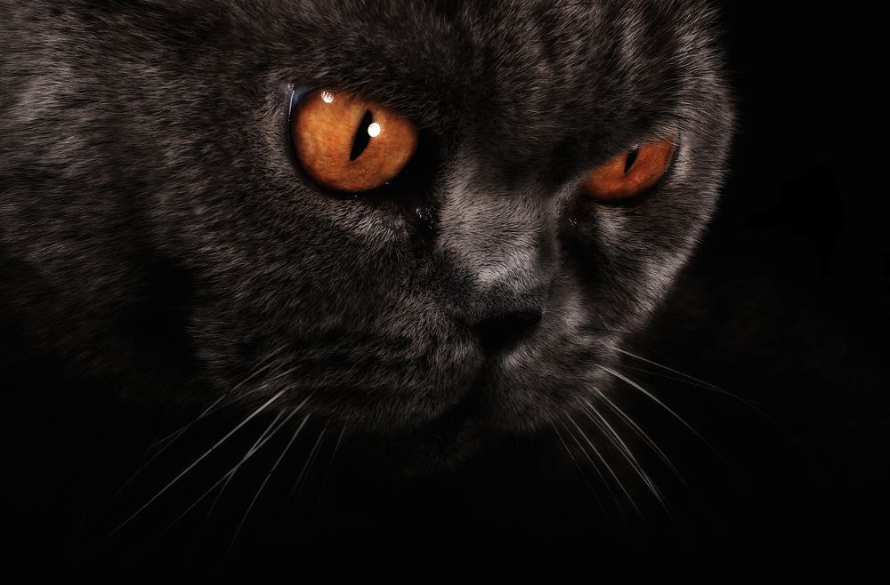 Photograph by Александр Замятин