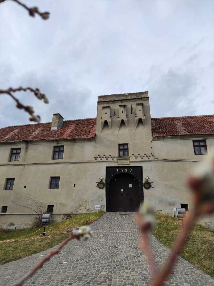 Photograph by rusenescu ramona