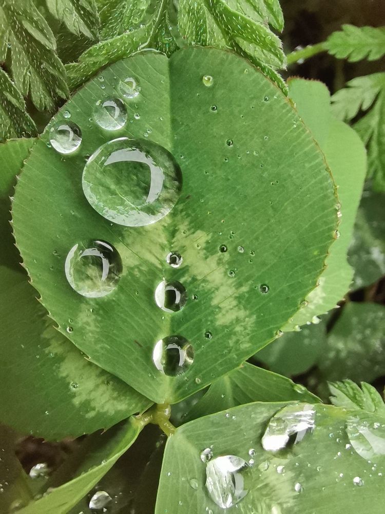 Photograph by Алёна Кушабаева