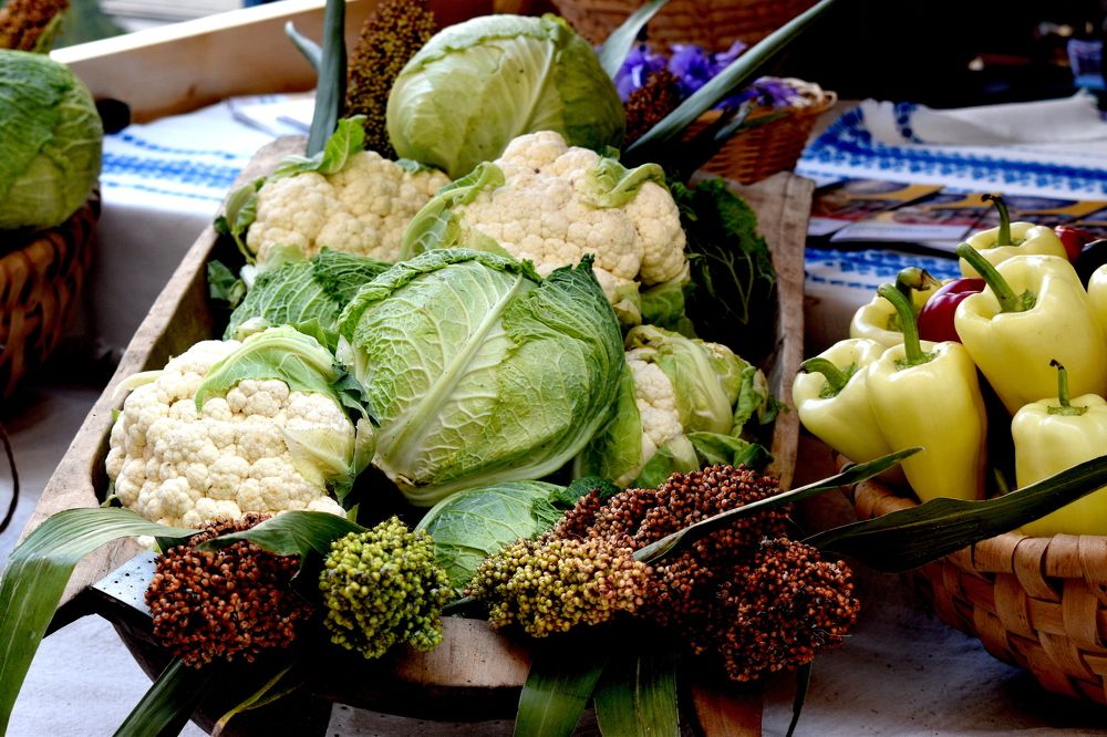 Photograph by Csótai Katalin