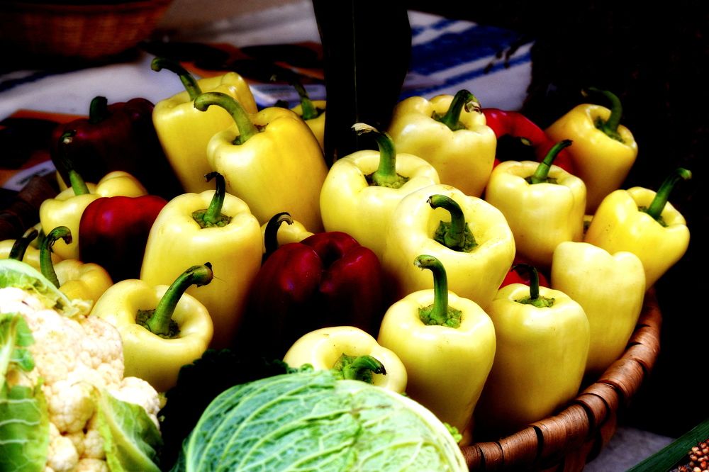 Photograph by Csótai Katalin