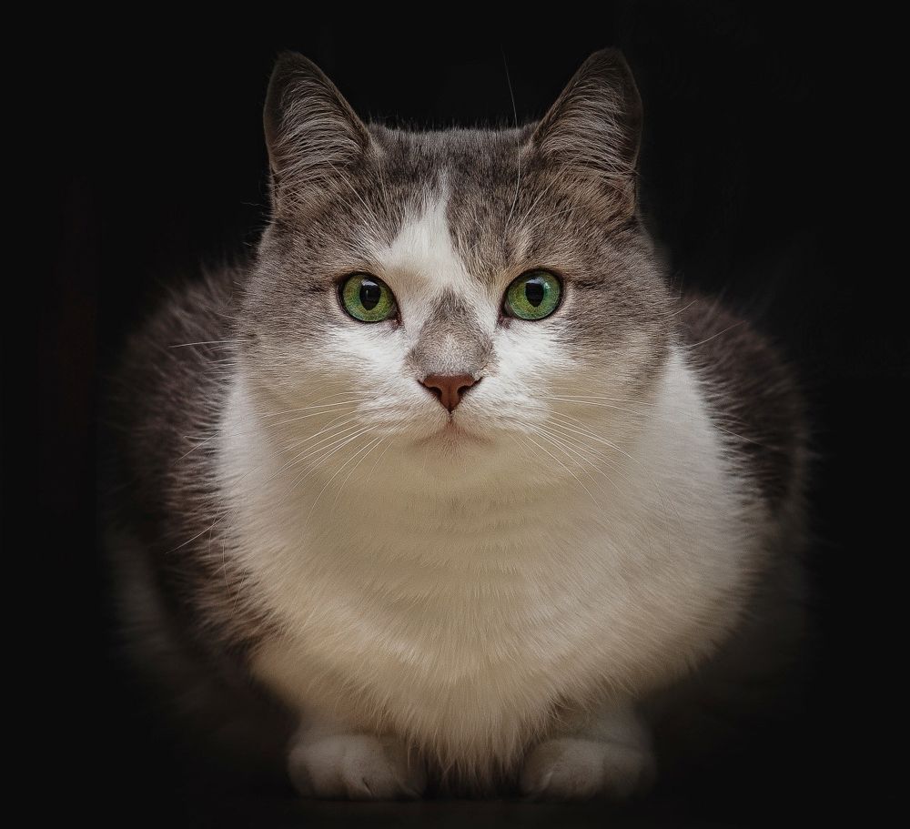 Photograph by Елена Басова