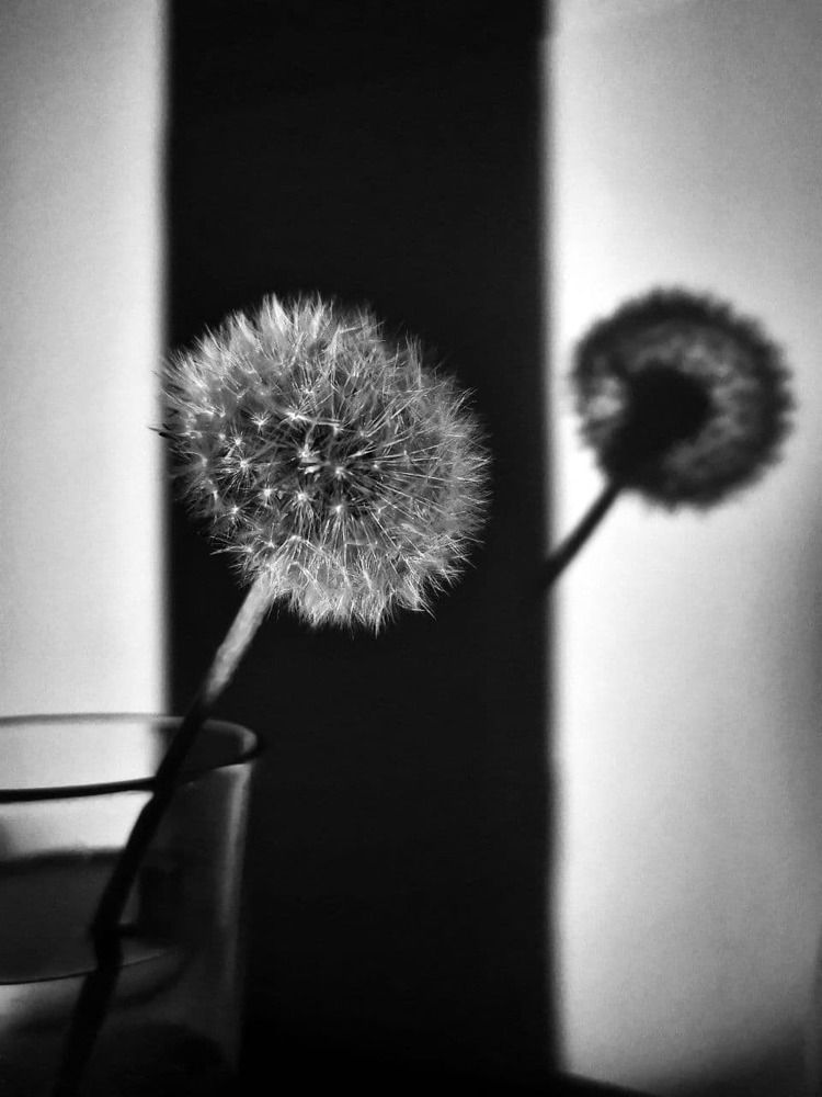 Photograph by Анжелика Егерь