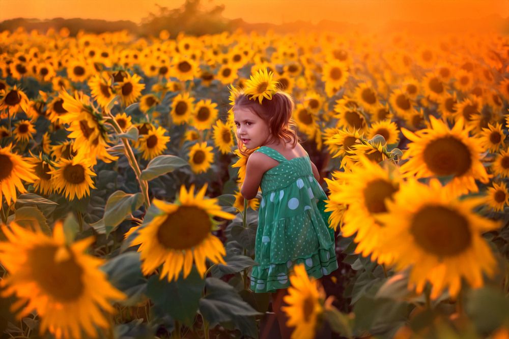 Photograph by Инна Пичка