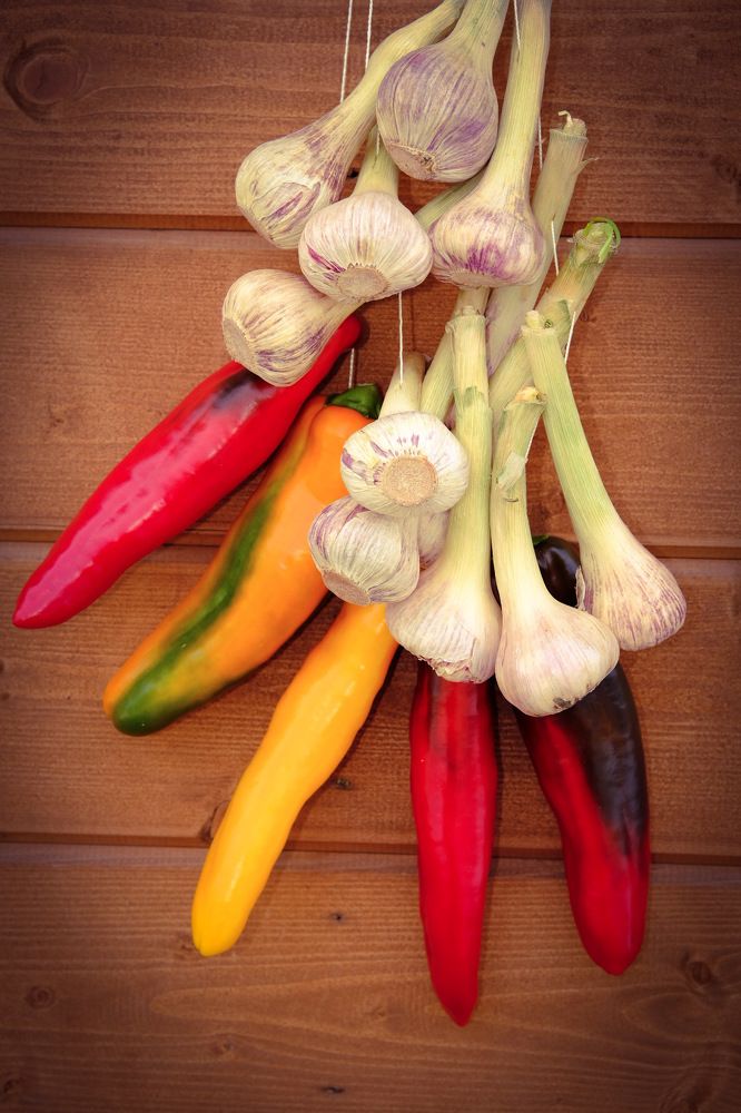 Перчик и чеснок, март 2021г