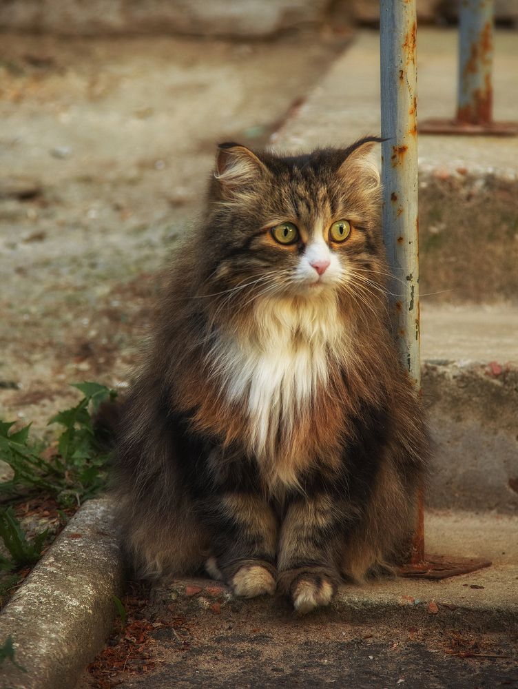 Photograph by Елена Басова