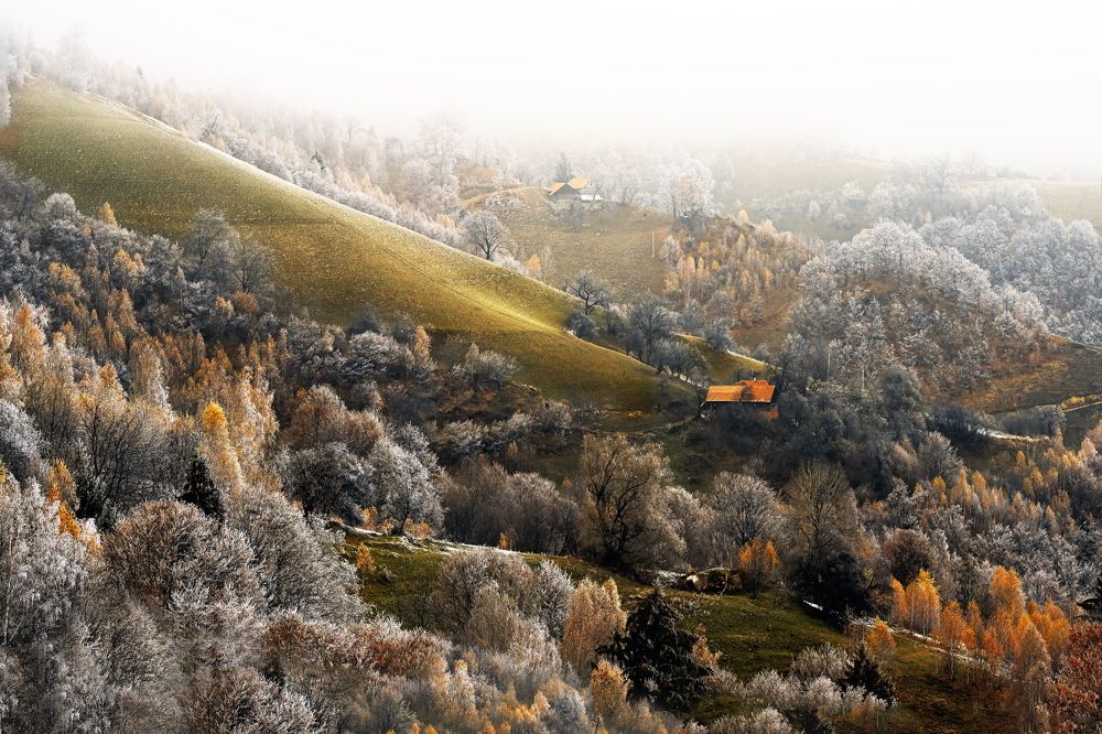 Photograph by MARIANA NEGULESCU