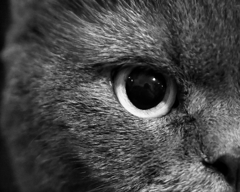 Photograph by Leka Huie