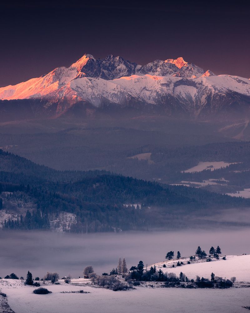 Photograph by Francesco Petardi