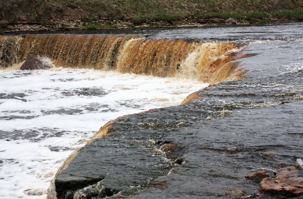 Photograph by Мария Самоловова