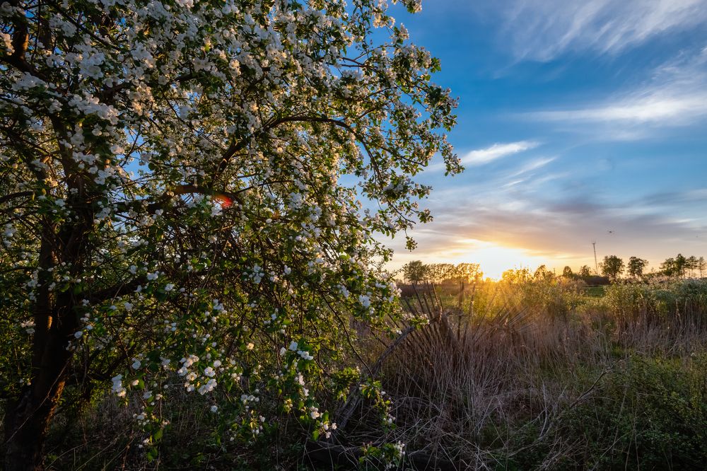 Photograph by Влад Белов