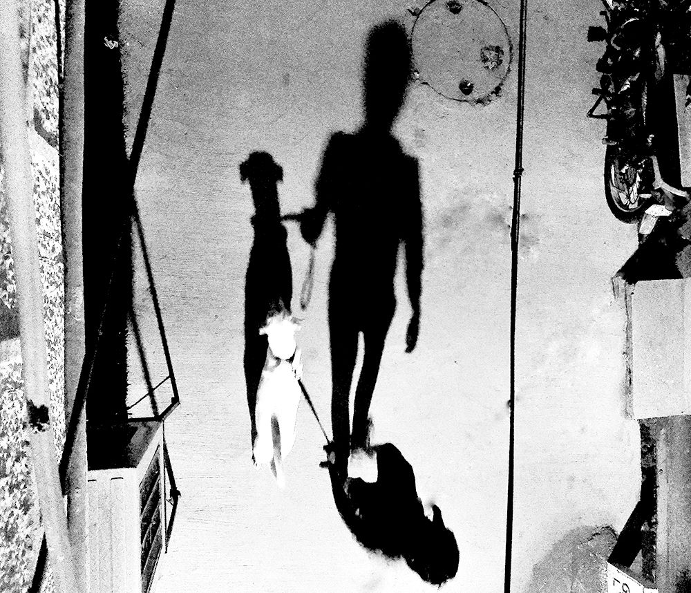 Photograph by Rajat Kashyap