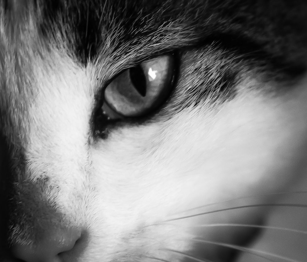 Photograph by Maria Cristina Artale