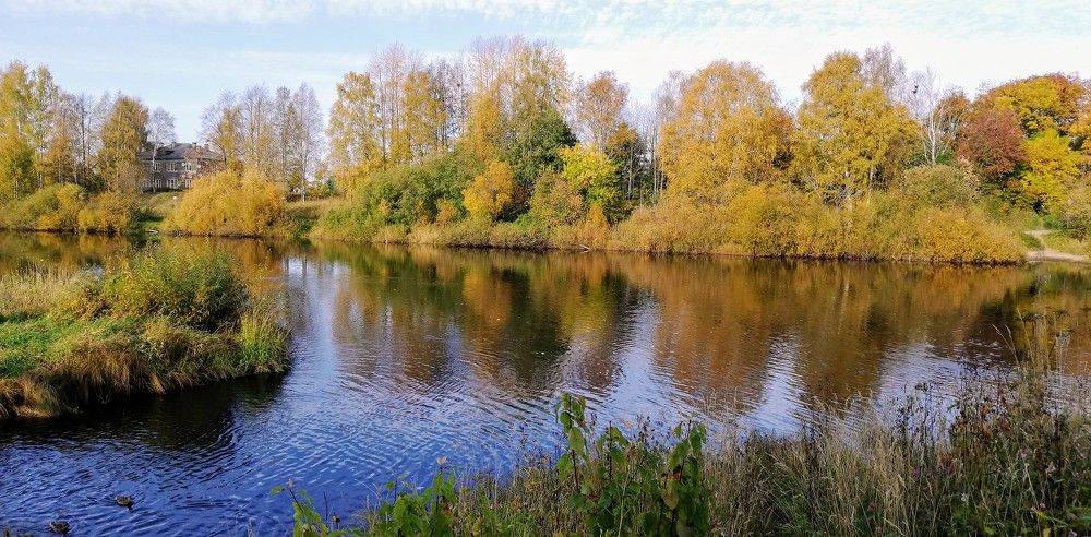 Отражение в реке