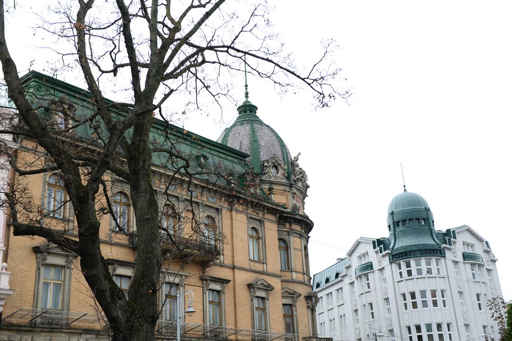 Photograph by Liudmyla