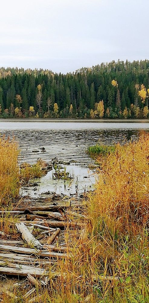 Photograph by Лариса Неудачина