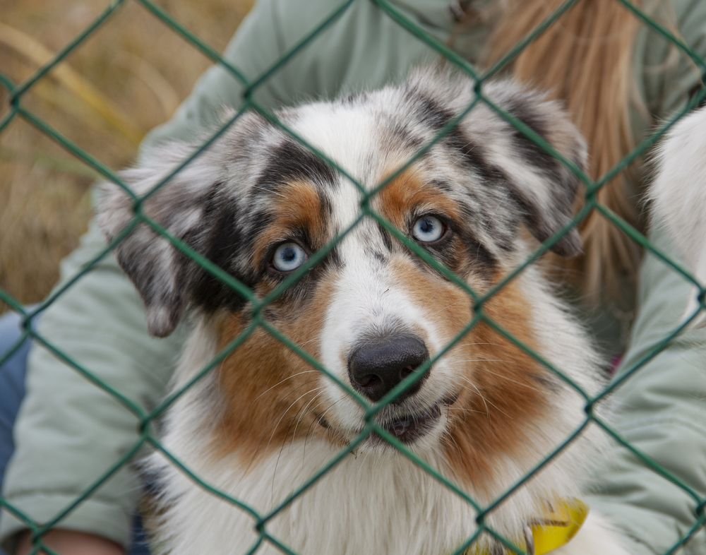 Photograph by Мария