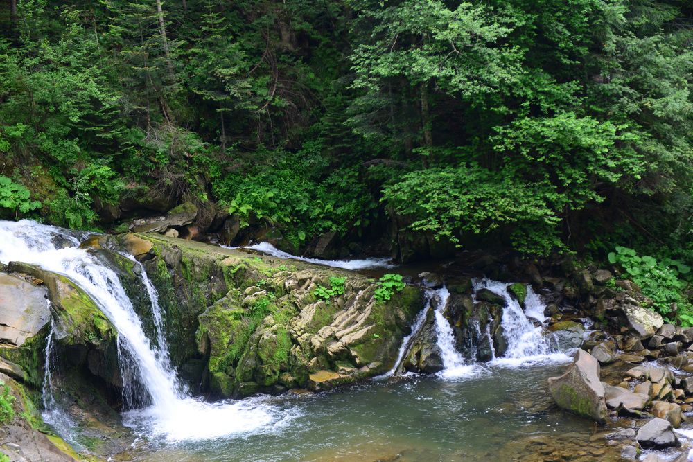 Photograph by Liudmyla