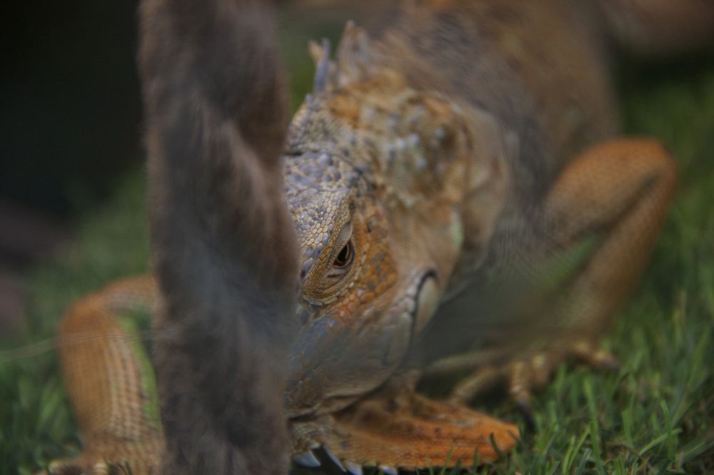 Photograph by Мария