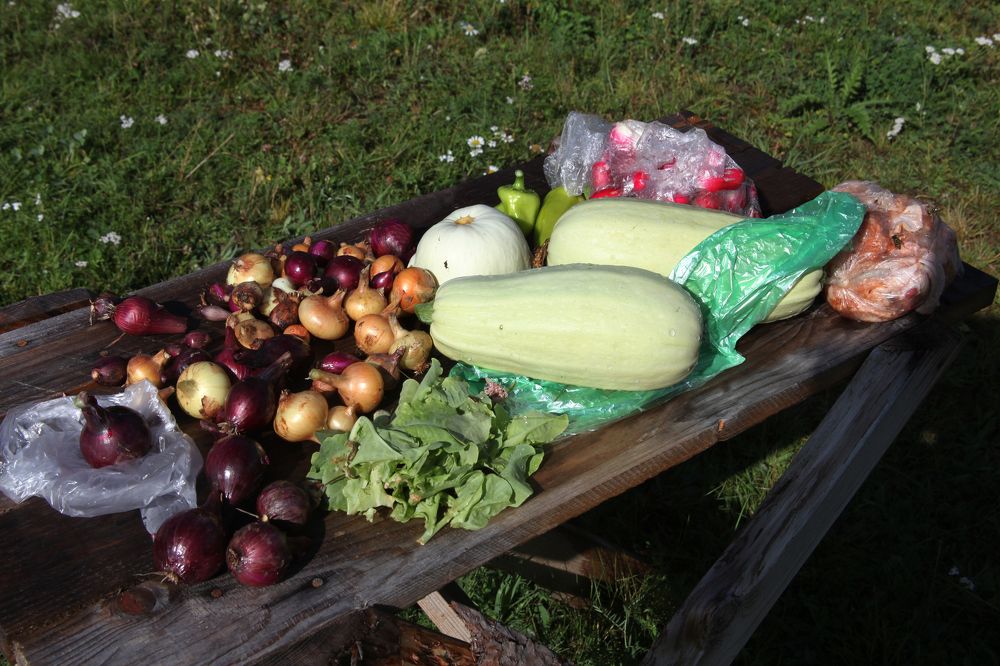 Photograph by Мария Самоловова