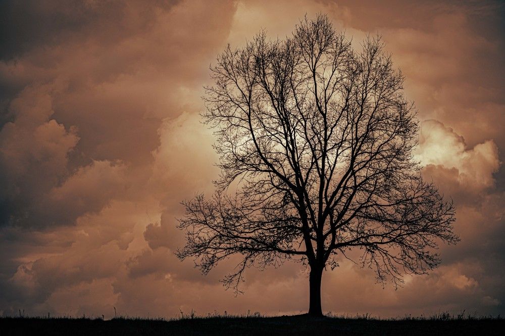 Photograph by Agnieszka Szadowiak