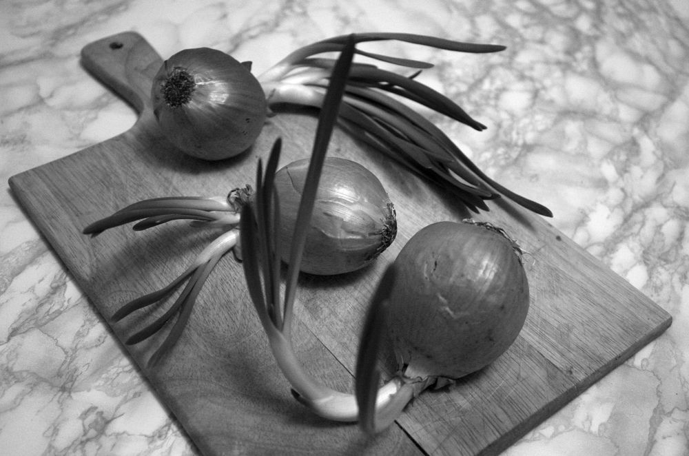 Photograph by Мария Самоловова