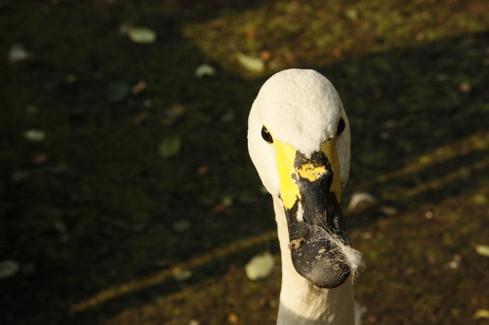 Photograph by Мария