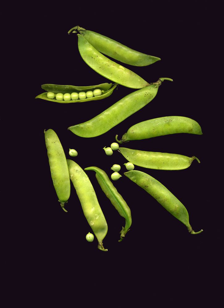 Photograph by Мария Самоловова