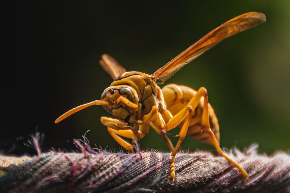 Photograph by SIPON ISLAM