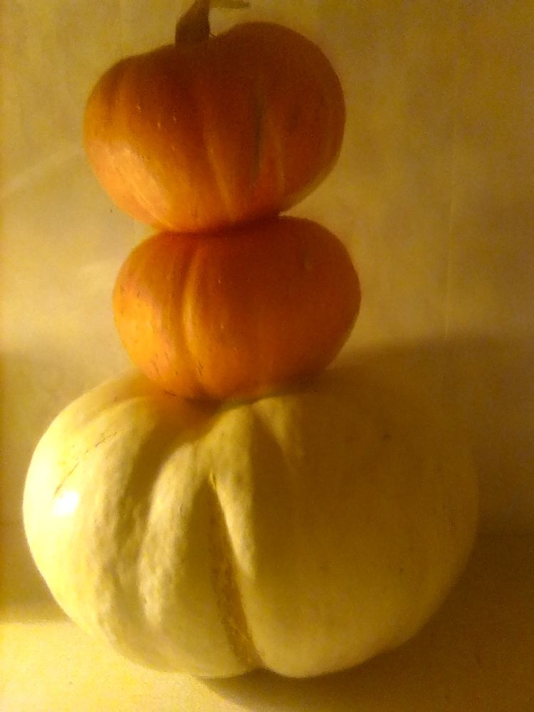 Photograph by Марта Васильева