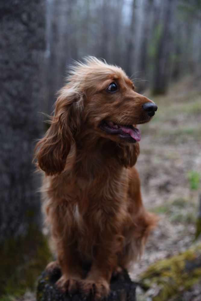 Photograph by Людмила Воропаева