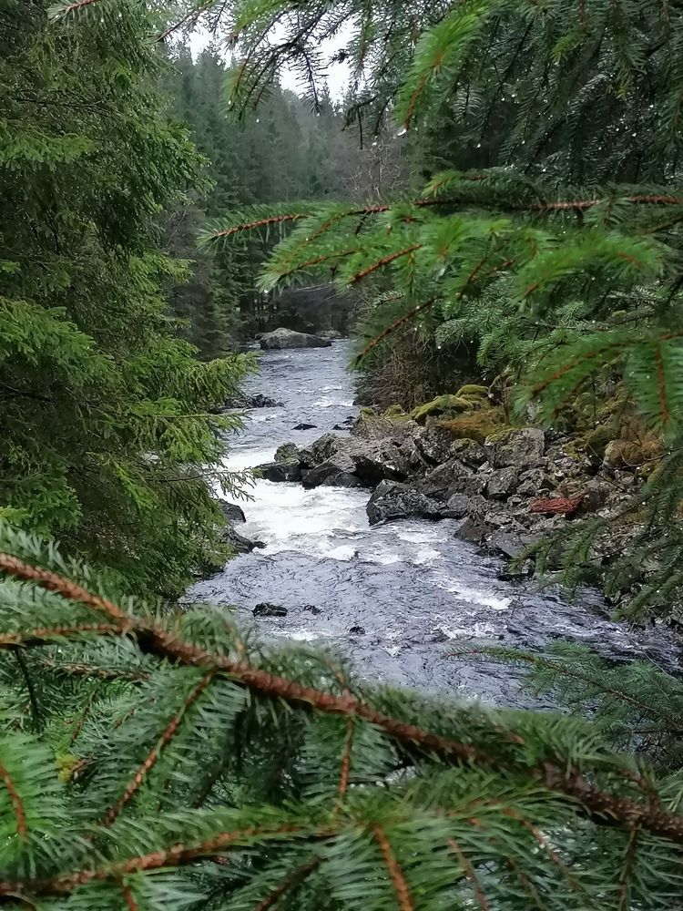 Photograph by Svetlana Simanska