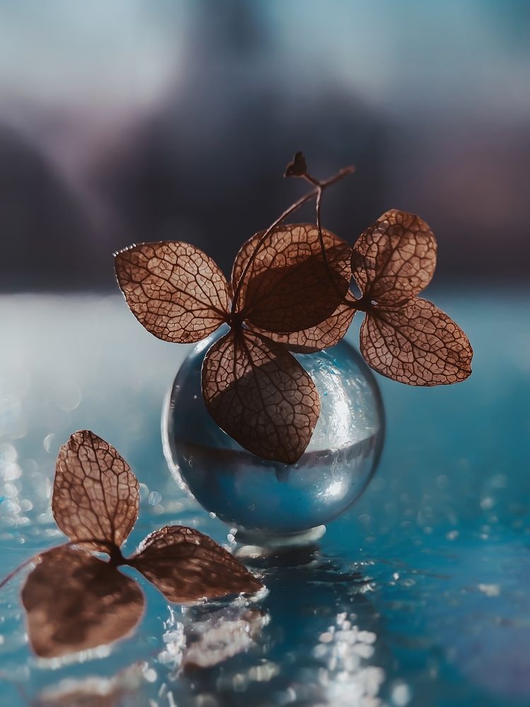 Photograph by Наталья Мальцева