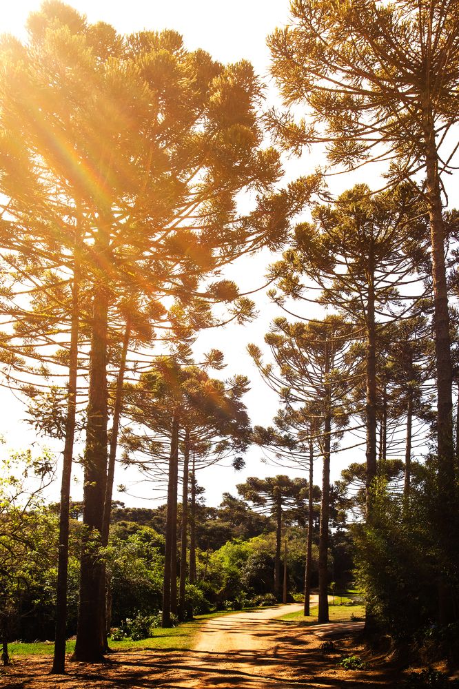 Photograph by Leo Flores