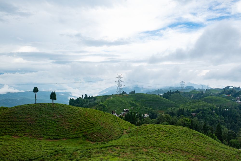 Photograph by Vivek Prasad