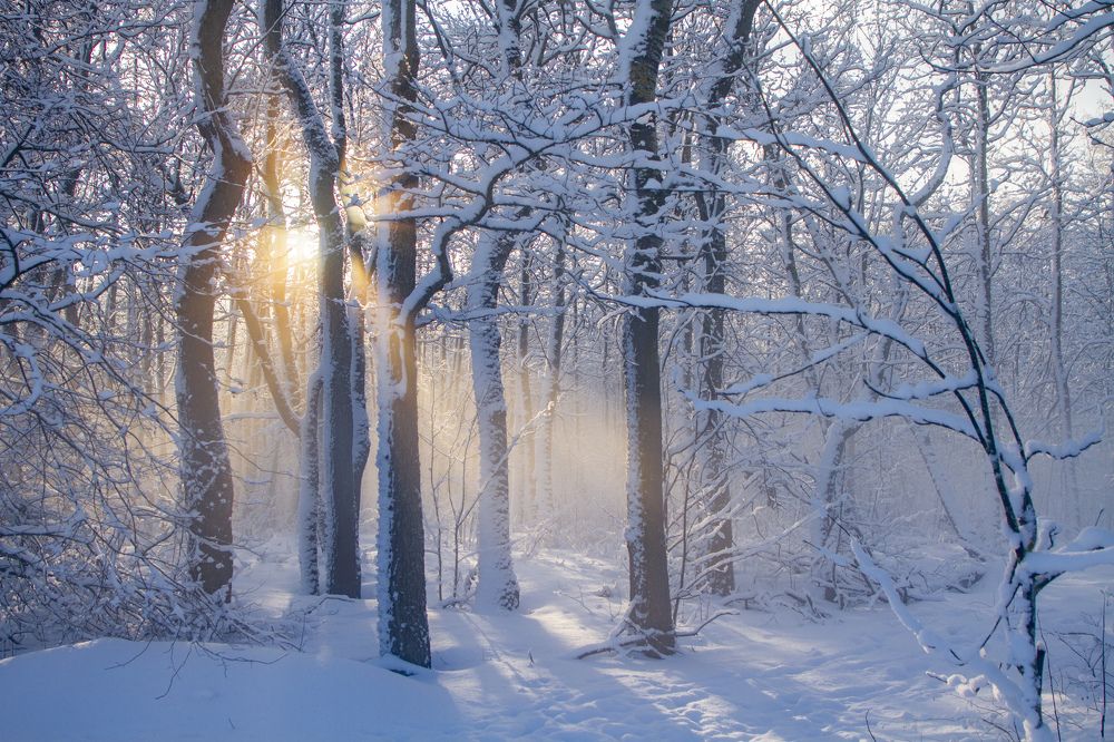 Фотография автора Ксения Зайцева