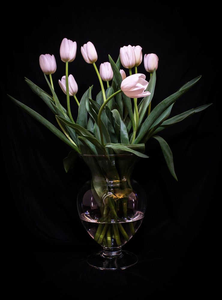 Photograph by Stefano Picciau