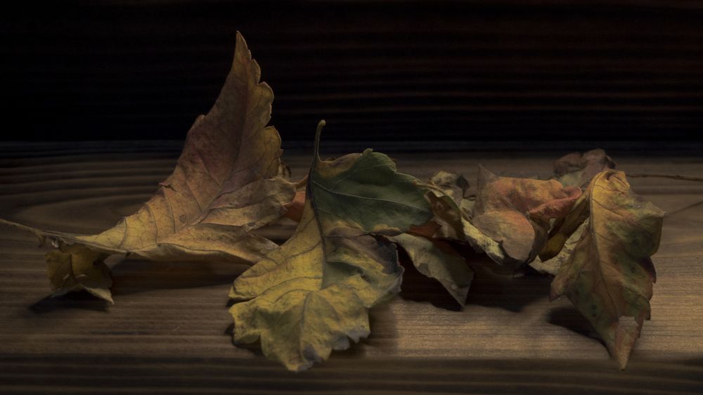 Photograph by Виталий Жгущий