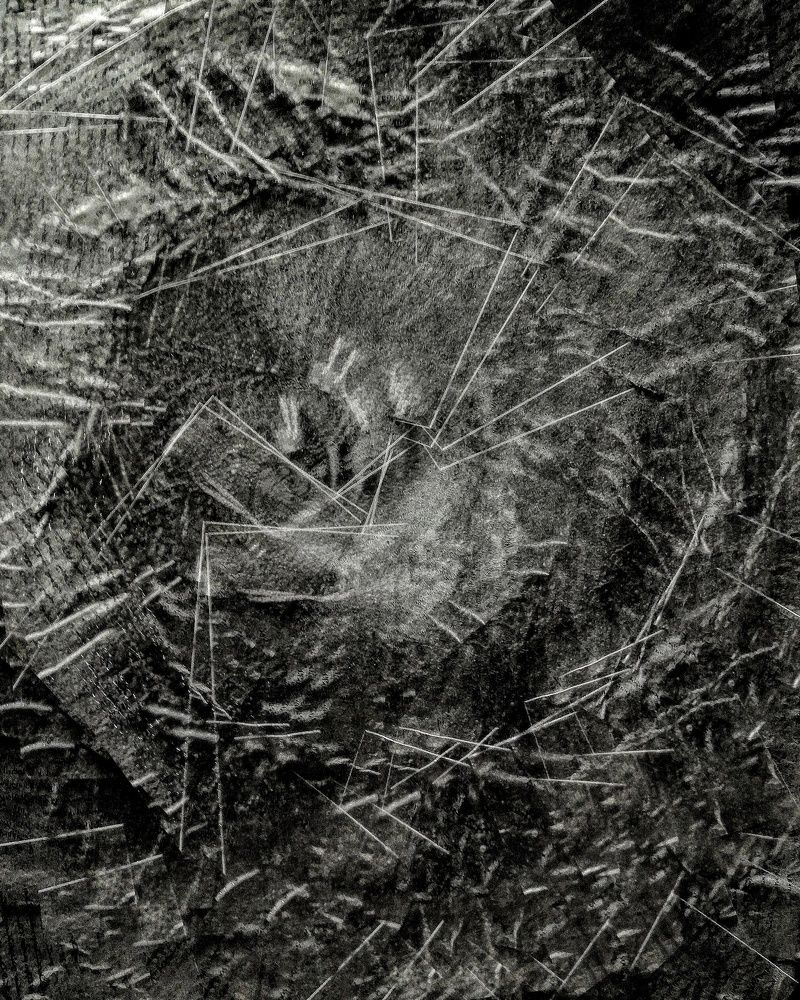Photograph by Salome Sapanadze