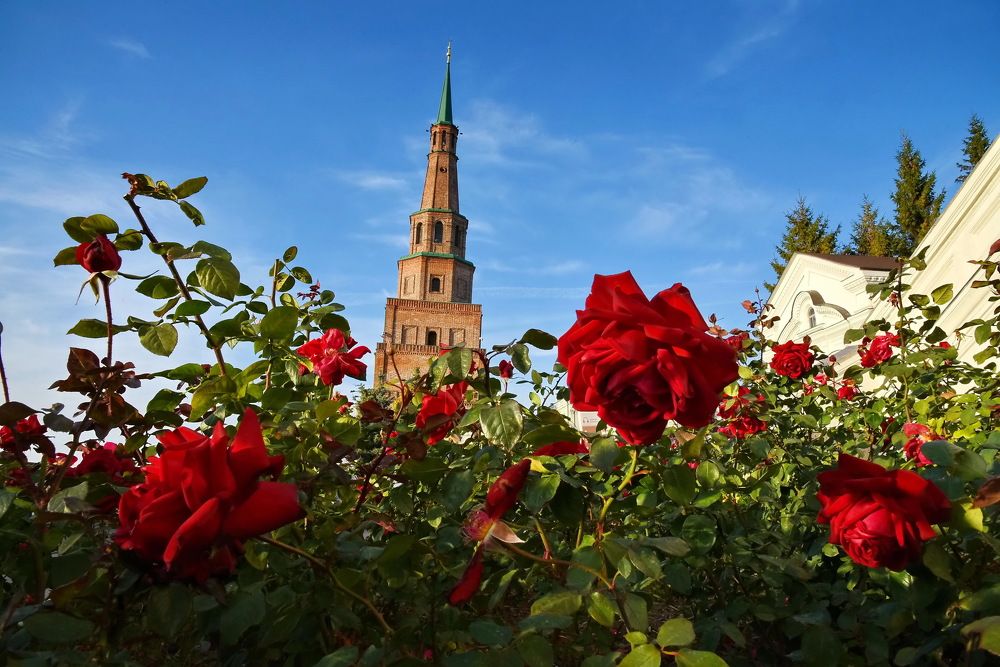 Photograph by Юрий Платухин