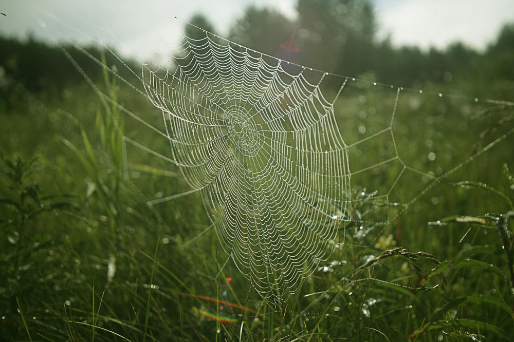 Фотография автора Андрей Шувалов